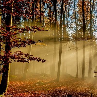 ManBetX网页版登录截图