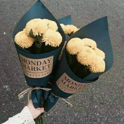 凤凰彩票56677官网入口查询