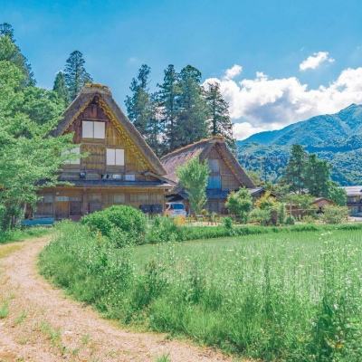 BSport·APP在线登录app下载