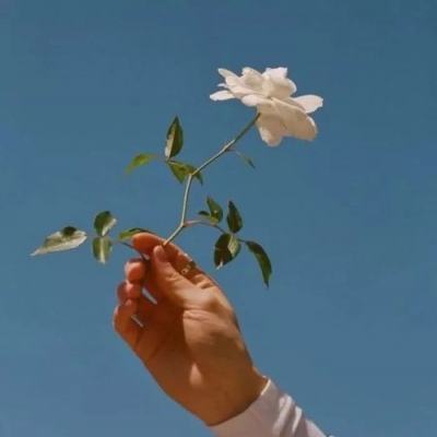 凤凰彩票56677官网入口查询