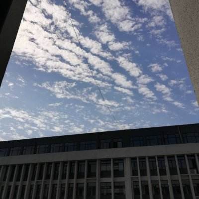 押注篮球的appapp下载