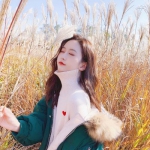 半岛·综合体育下载